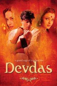 Devdas (2002) Hindi