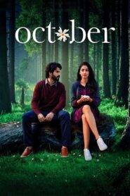 October (2018) Hindi