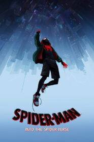 Spider-Man: Into the Spider-Verse (2018) Hindi Dubbed