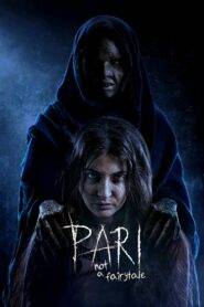 Pari (2018) Hindi HD